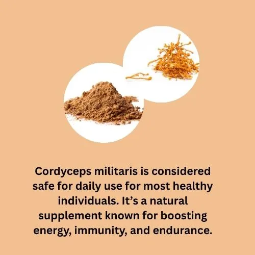 cordyceps powder safe cordyceps powder safe