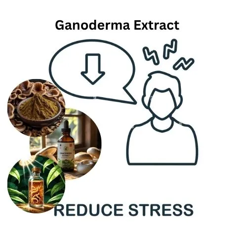 Ganoderma lucidum daily stress Ganoderma lucidum daily stress