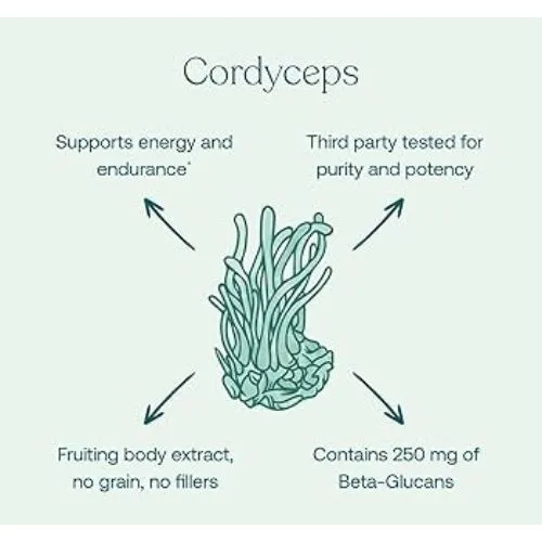 cordyceps support endurance