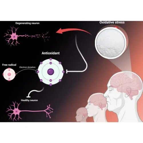 L-Ergothioneine brain L-Ergothioneine brain