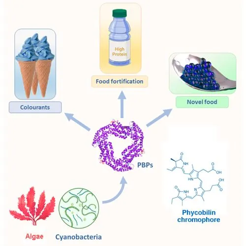 phycocyanin 5 phycocyanin 5