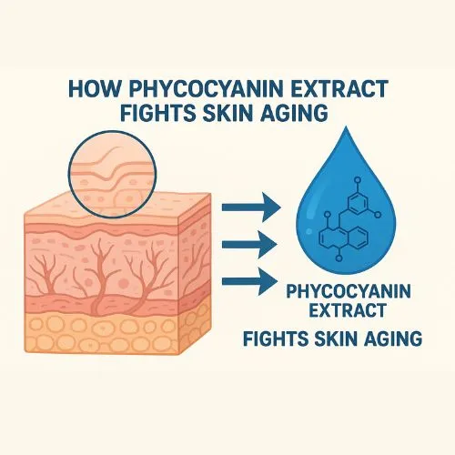 _phycocyanin  fights skin