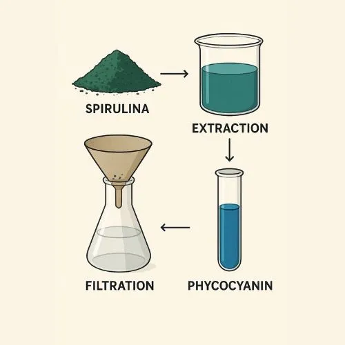 phycocyanin extracted phycocyanin extracted