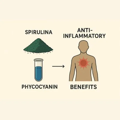 phycocyanin anti inflammatory