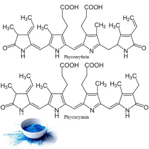 Phycocyanin key structural