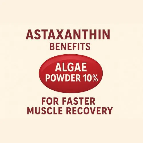 astaxanthin powder muscle recovery astaxanthin powder muscle recovery