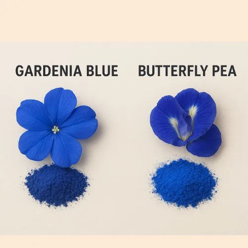 gardenia blue and butterfly 