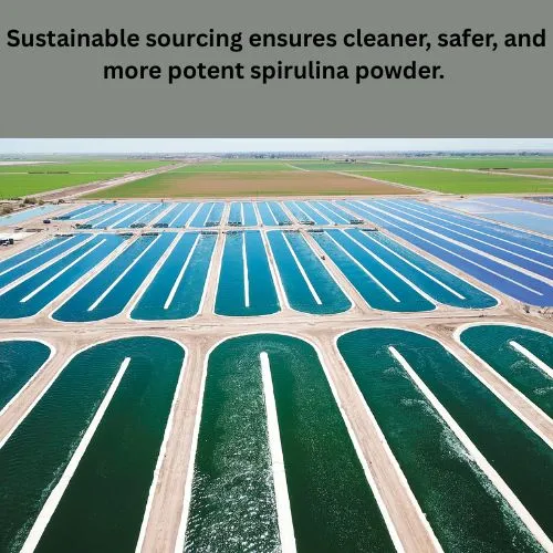 blue spirulina quality