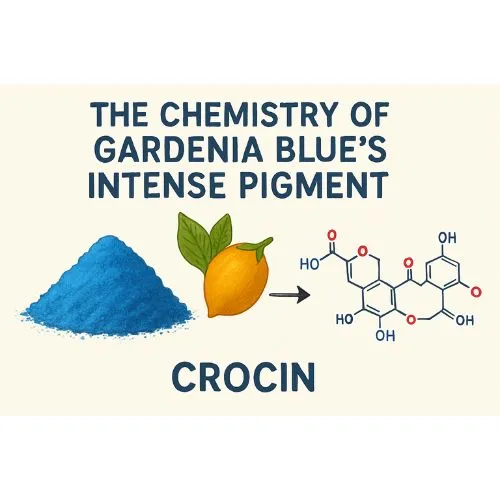 Gardenia Blue's Intense Pigment Gardenia Blue's Intense Pigment