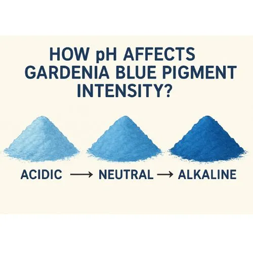 blue gardenia pigment intensity