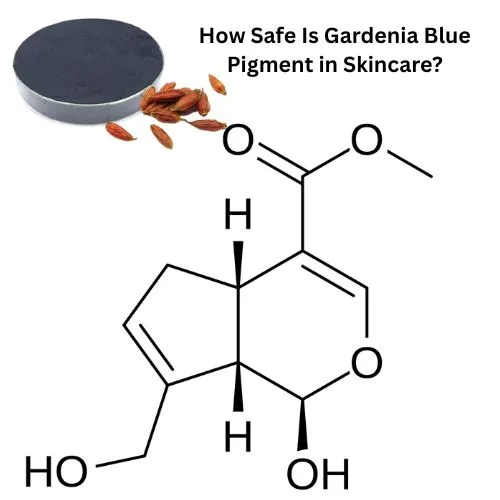 Gardenia Blue Pigment in Skincare Gardenia Blue Pigment in Skincare