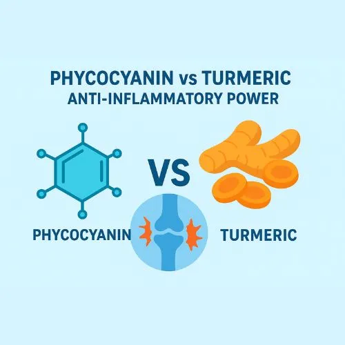 phycocyanin powder inflammatory phycocyanin powder inflammatory