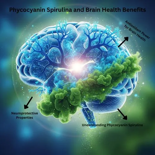 phycocyanin powder brain benefits