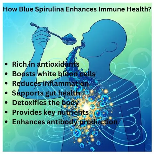 blue spirulina  for immune blue spirulina  for immune