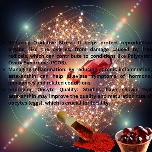 Reducing Oxidative Stress: It helps protect reproductive organs, like the ovaries, from damage caused by free radicals, which can contribute to conditions like Polycystic Ovary Syndrome (PCOS).  Managing Inflammation: By reducing chronic inflammation, astaxanthin can help alleviate symptoms of hormonal imbalances and related conditions.  Improving Oocyte Quality: Studies have shown that astaxanthin may improve the quality and maturation rate of oocytes (eggs), which is crucial for fertility