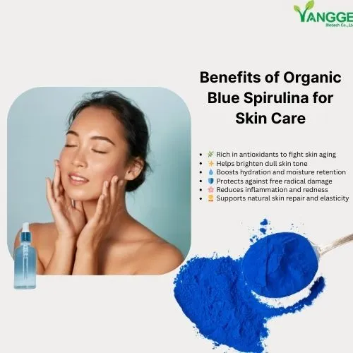 Organic Blue spirulina powder for skin Organic Blue spirulina powder for skin