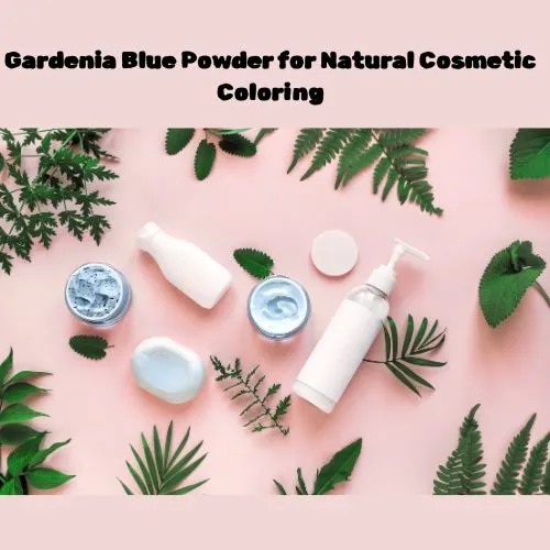Gardenia Blue Powder cosmetics