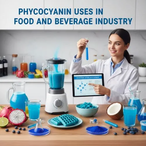 Phycocyanin Uses in Food and Beverage Industry Phycocyanin Uses in Food and Beverage Industry