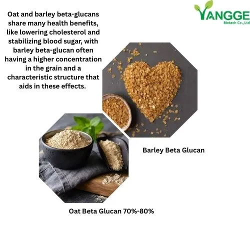 oat beta glucan powder vs barley
