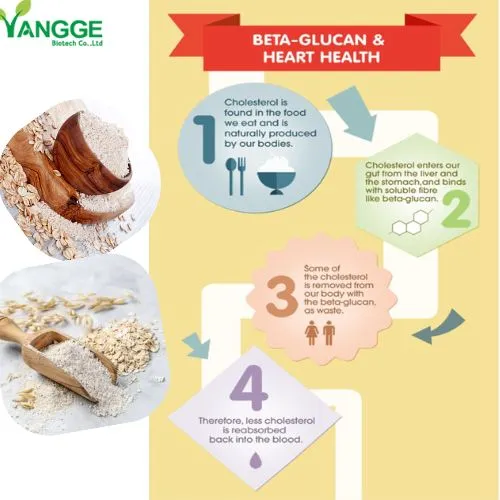 _oat beta glucan powder for heart