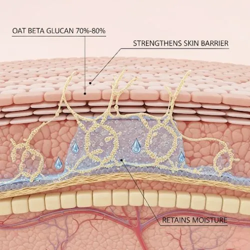 How Oat Beta Glucan 70%-80% Supports Skin Barrier?