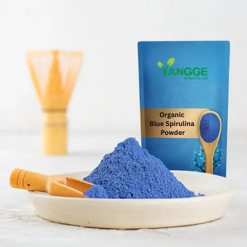 Why Organic Blue Spirulina Powder Supports Immunity