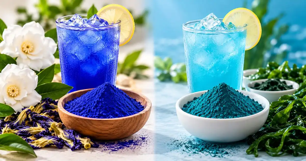 Core Factors Affecting Your Decision to Buy Gardenia Blue 
