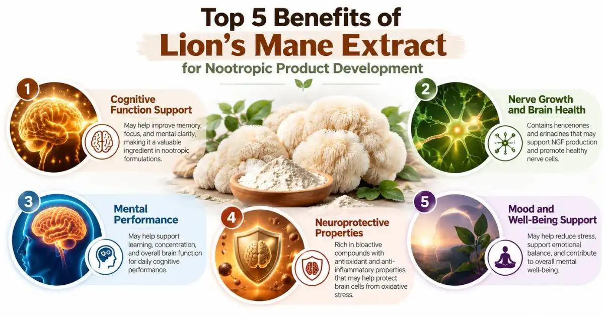 lions maine top 5 benefits