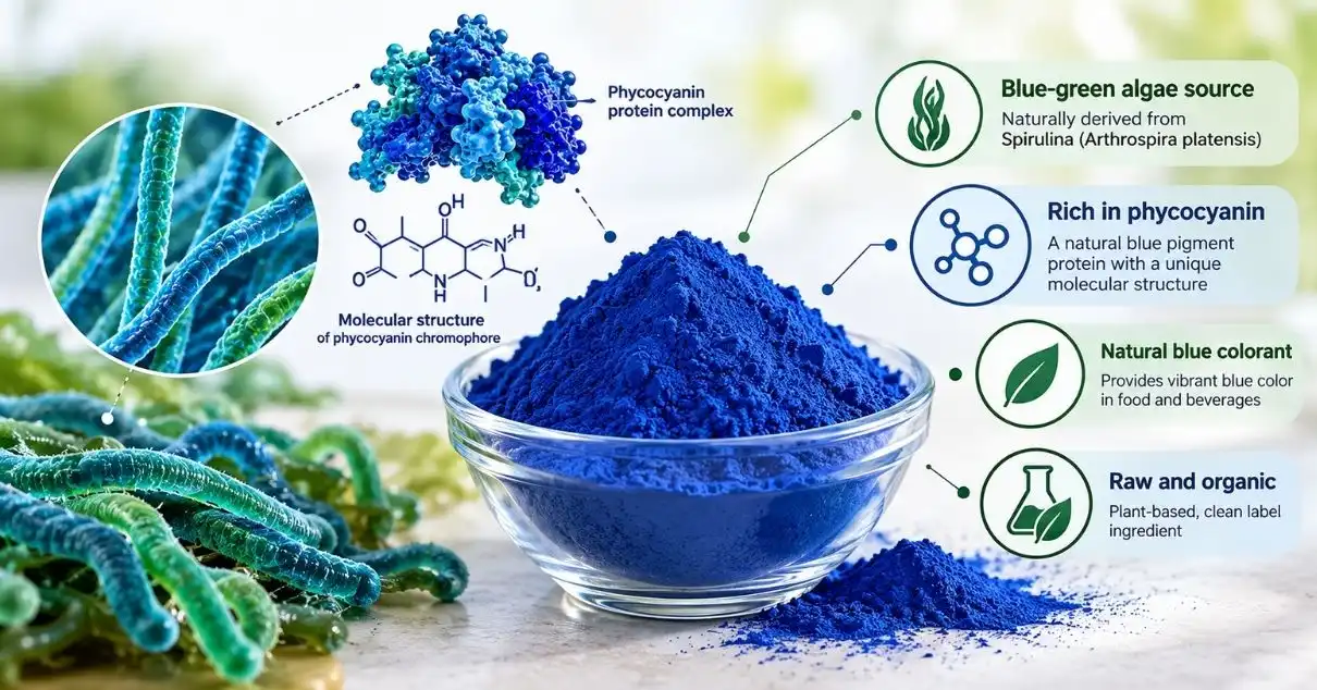 What Is Blue Phycocyanin Molecular Profile and Why It Matters