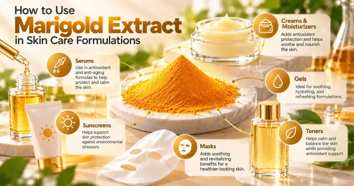 How to Use Marigold Extract in Skin Care Formulations