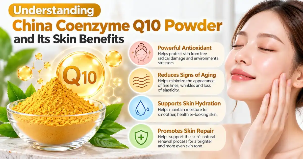 coenzyme understanding coenzyme understanding