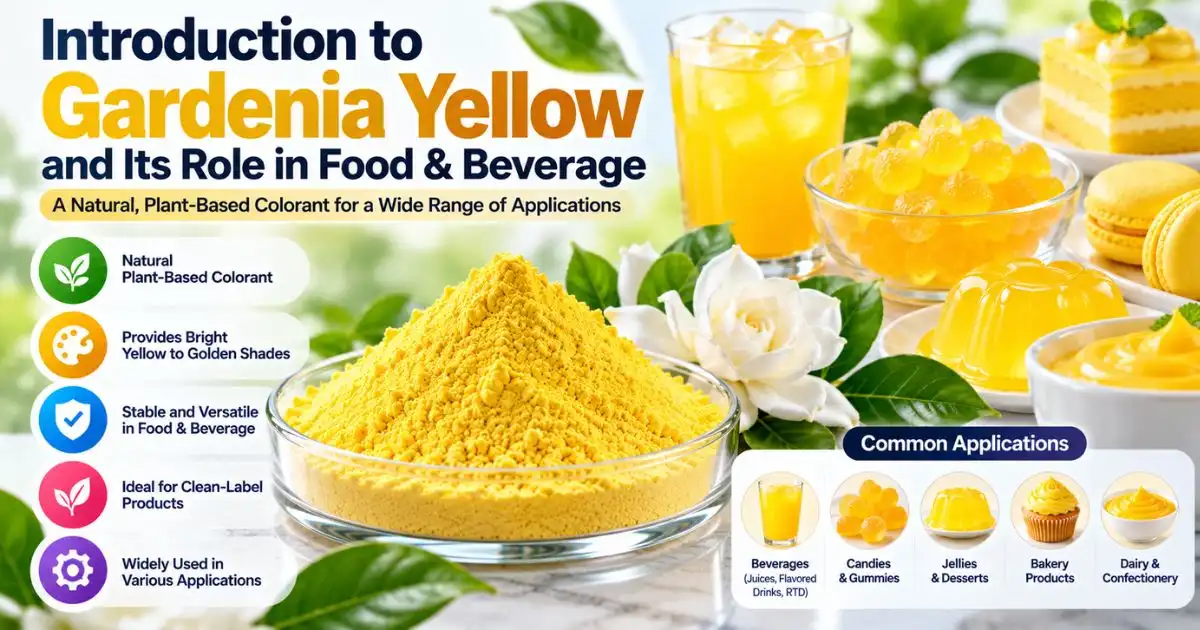 gardenia yellow powder introduction