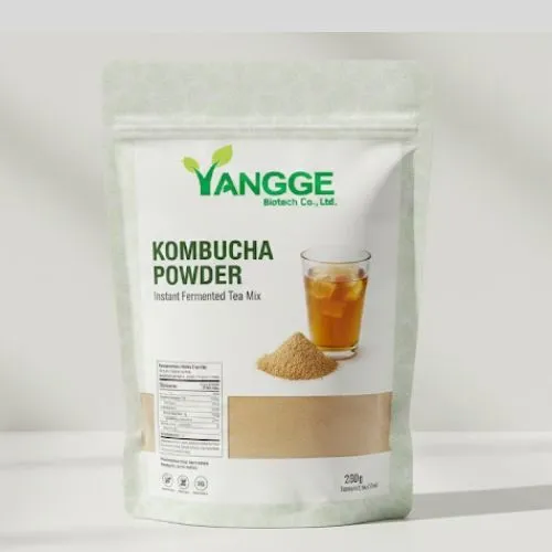 kombucha powder in yangge