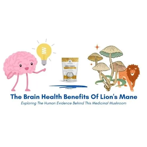 What does lion's mane do for the brain What does lion's mane do for the brain