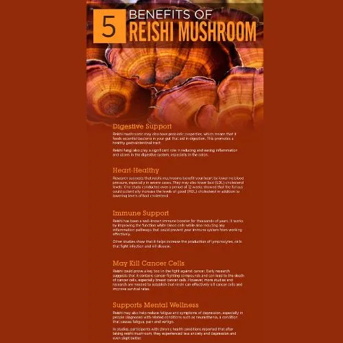reishi benefits