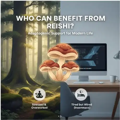 Who Can Benefit from Reishi Who Can Benefit from Reishi