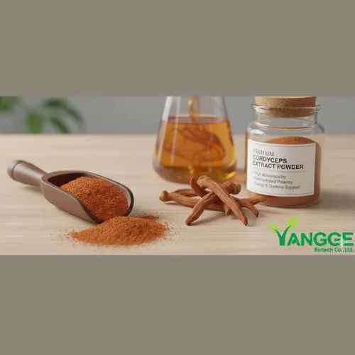 Why Choose Cordyceps Extract Powder Why Choose Cordyceps Extract Powder
