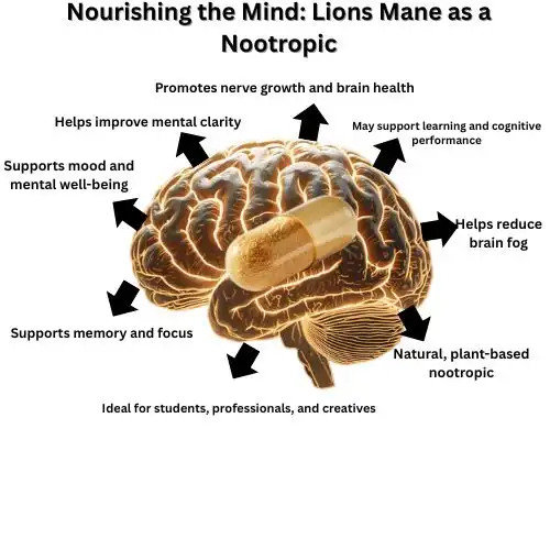 Nourishing the Mind Lions Mane as a Nootropic Nourishing the Mind Lions Mane as a Nootropic