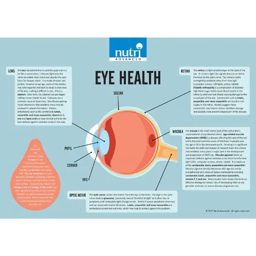 Who Needs It meso Who Needs It meso