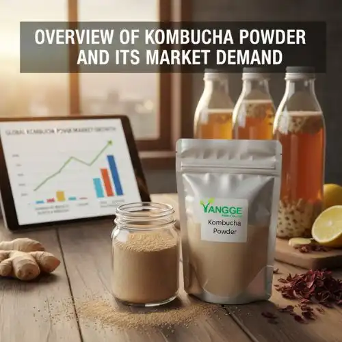 kombucha powder demand kombucha powder demand