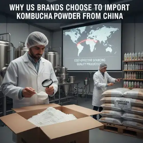 Why US Brands Choose to Import Kombucha Powder from China