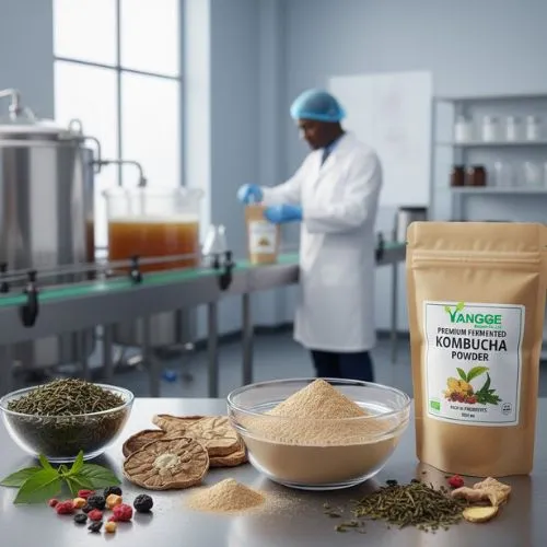 Ensuring Quality and Safety in Imported Kombucha Powder