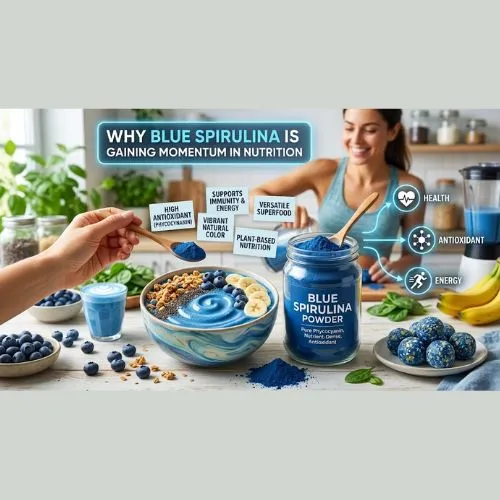 Why Blue Spirulina Powder Is Gaining Momentum in the Nutrition Industry