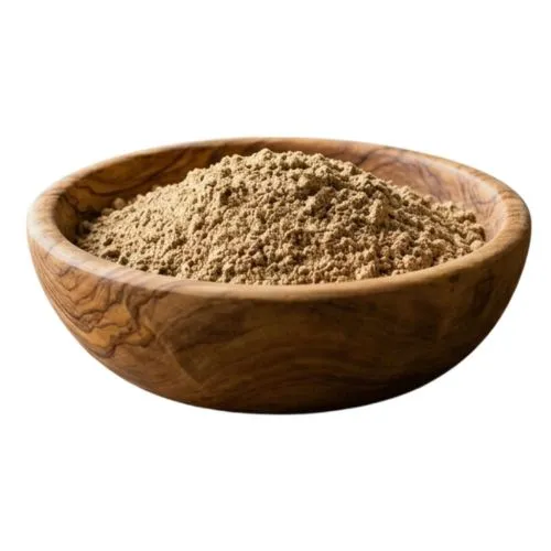 Shiitake Mushroom Extract  (500 x 500 px)