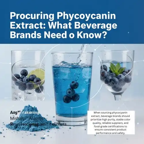 Procuring Phycocyanin Extract What Beverage Brands Need to Know