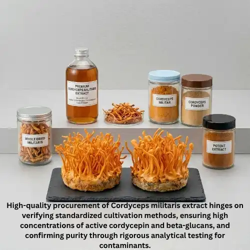 Procurement Insights Sourcing High-Quality Cordyceps Militaris Extract