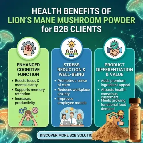 benefits lions mane powder