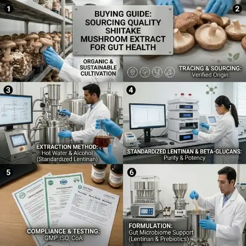 _Shiitake Mushroom Extract for Gut Health Products _Shiitake Mushroom Extract for Gut Health Products