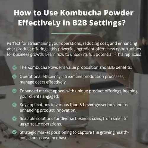 kombucha b2b kombucha b2b
