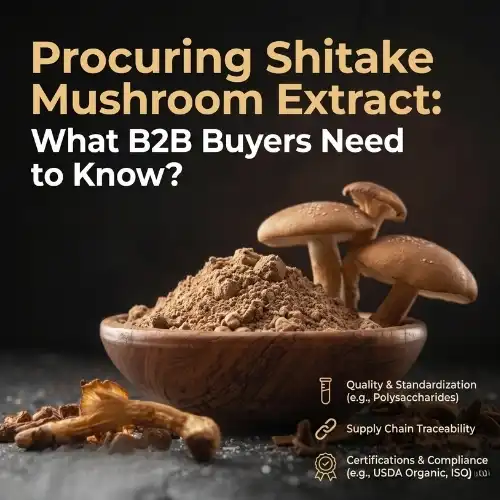 _Shiitake Mushroom b2b new _Shiitake Mushroom b2b new